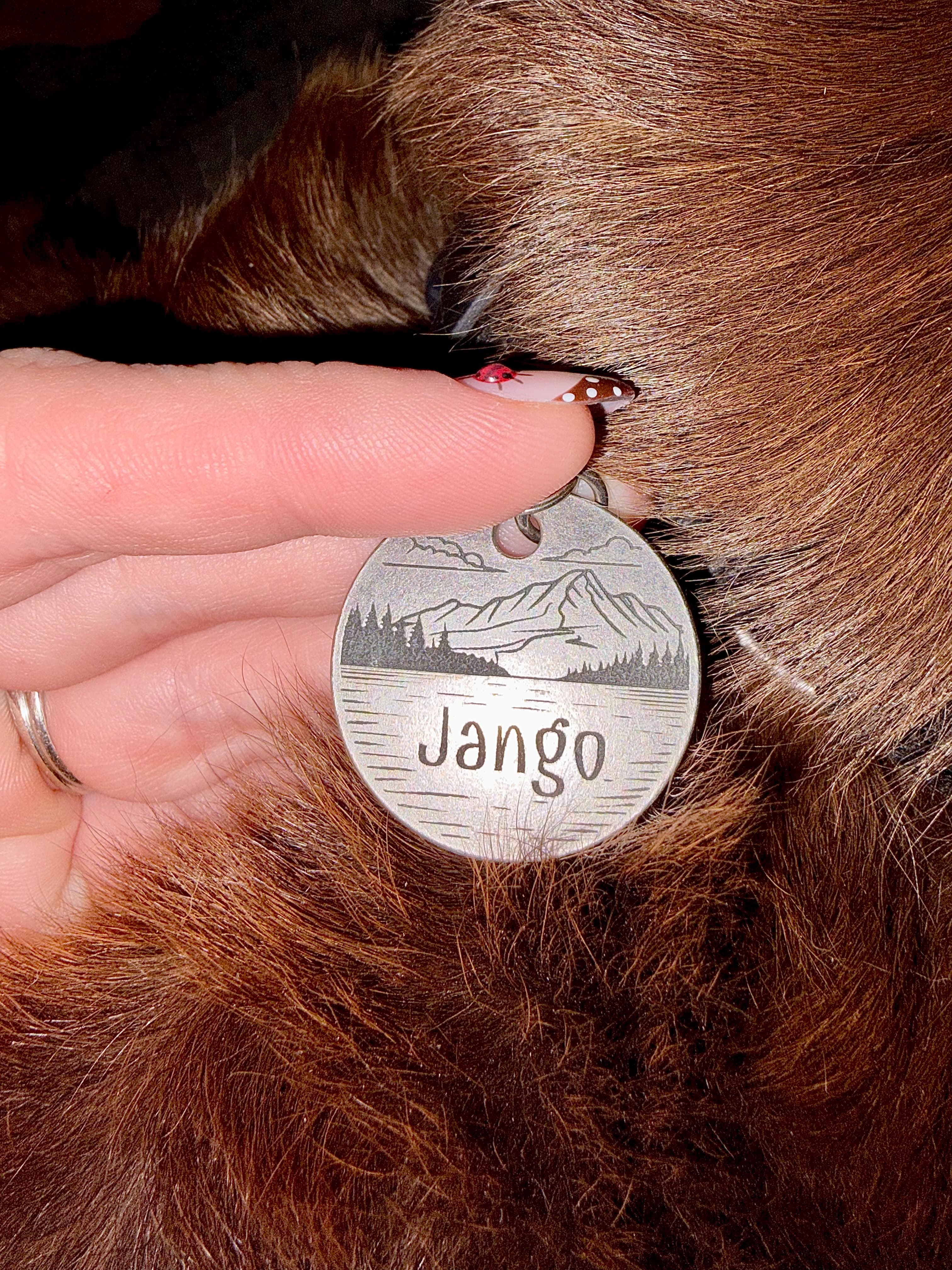 Customers photo of personalized engraved pet tag featuring a unique design in antique silver