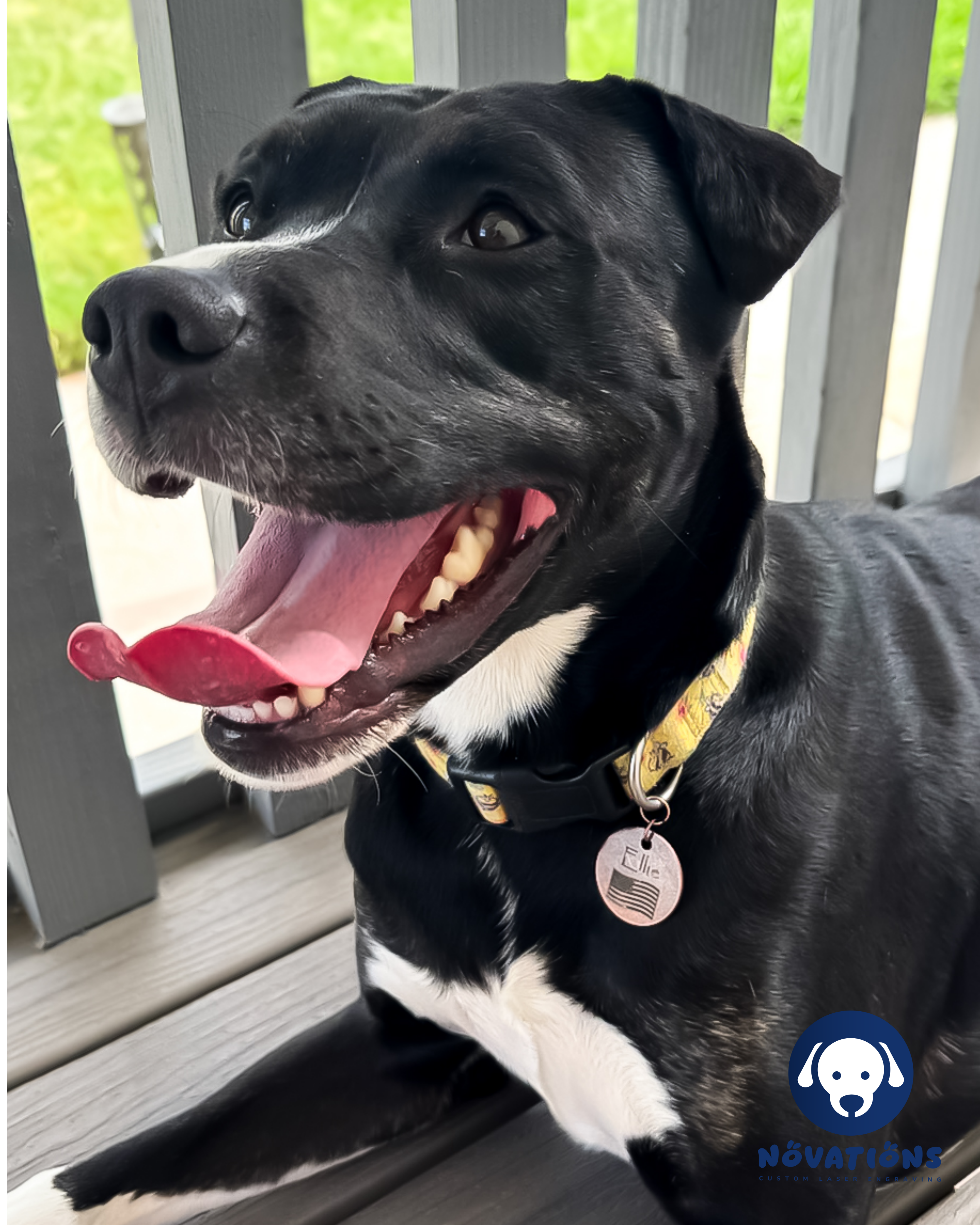 Photo of dog wearing a personalized engraved pet tag from Novations in antique copper