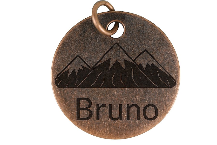 Alpine Range pet tag in antique copper