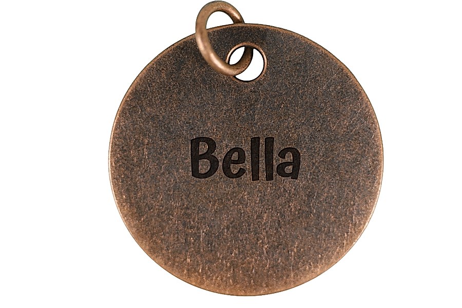 Blank Tag pet tag in antique copper