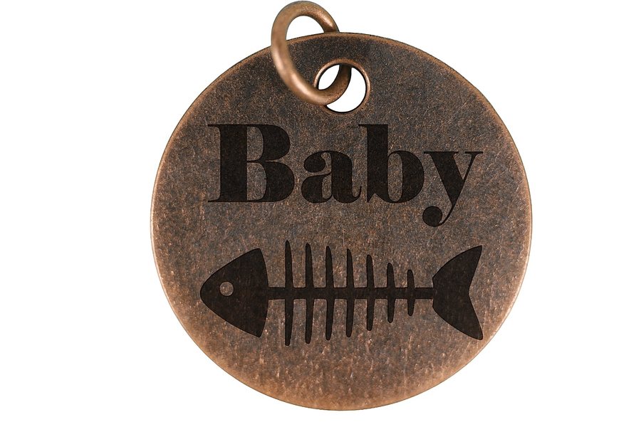 Classic Fish Bone pet tag in antique copper