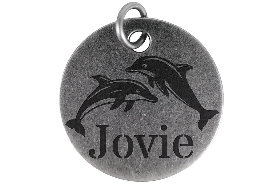 Coastal Dolphins pet tag in antique silver