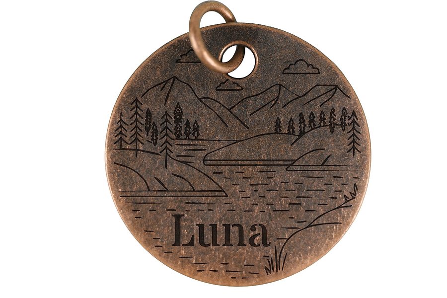Lakeside View pet tag in antique copper