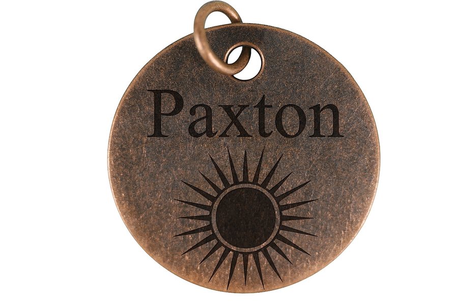 Radiant Sun pet tag in antique copper