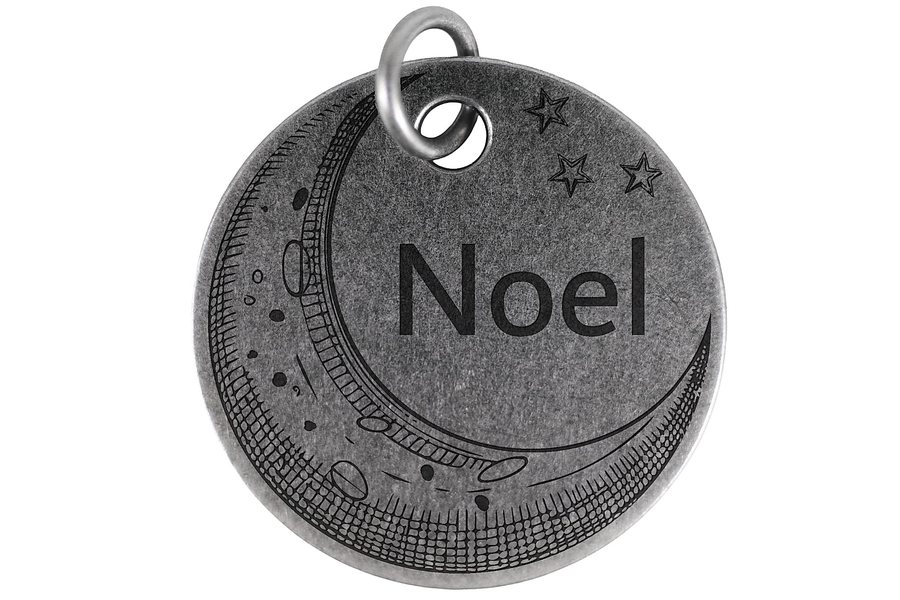 Starlit Crescent pet tag in antique silver
