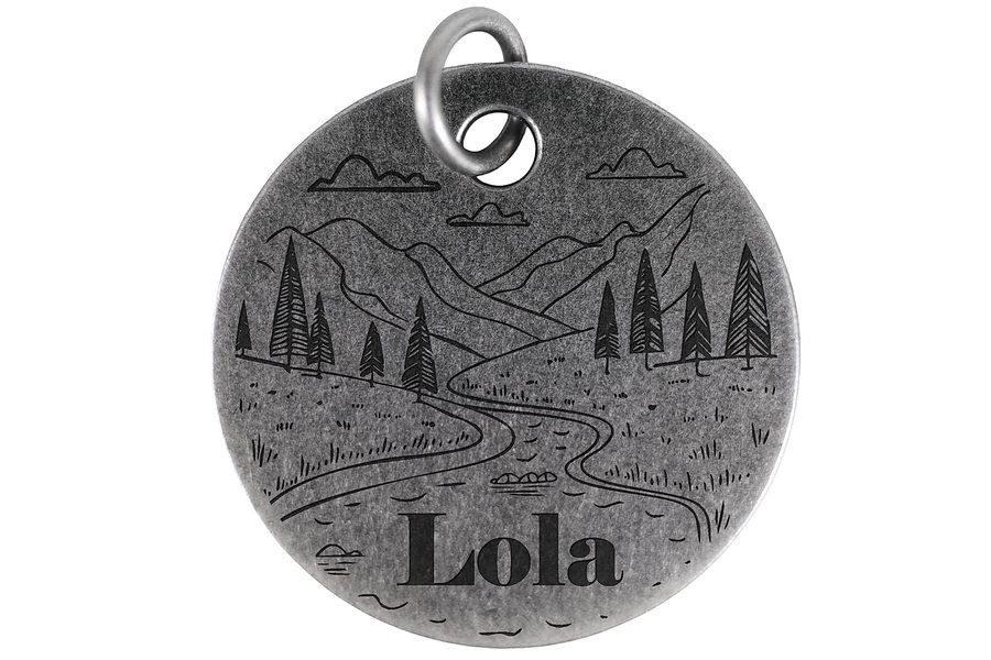 Winding River pet tag in antique silver
